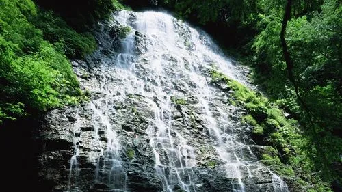 高端电子节能